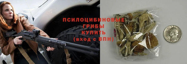 не бодяженный Гусев