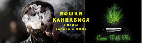 не бодяженный Гусев
