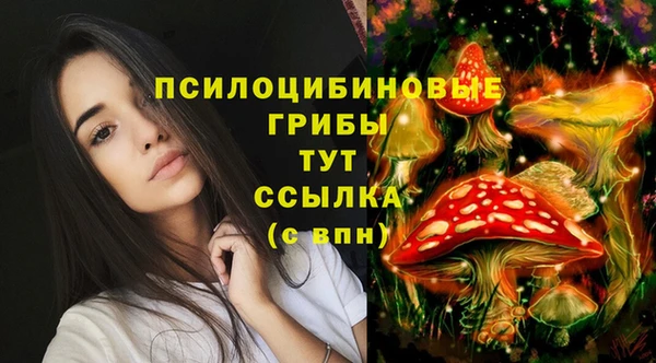 мет Дмитриев
