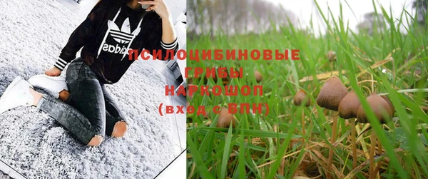 не бодяженный Гусев