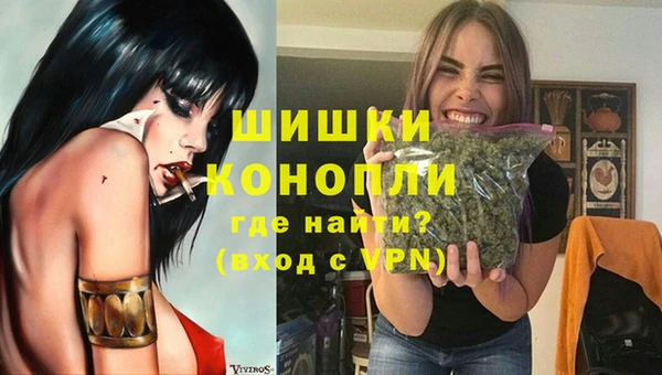 не бодяженный Гусев