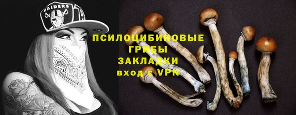 2c-b Гусиноозёрск
