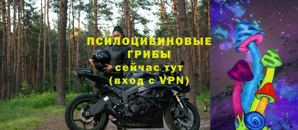 мет Дмитриев