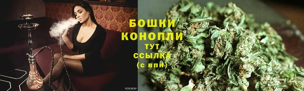 2c-b Гусиноозёрск