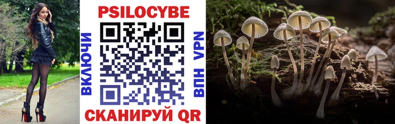 Купить закладки  Сельцо  Псилоцибиновые грибы мицелий 